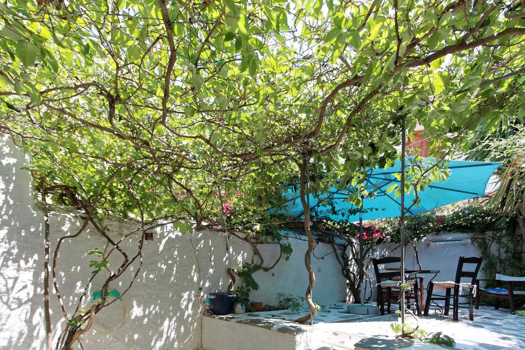 To Spitaki Apartments Galaxídhion Eksteriør bilde